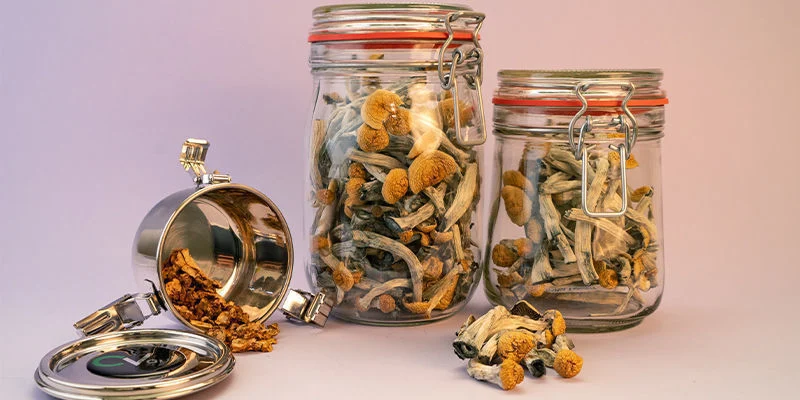 get magic mushrooms, Get Magic Mushrooms | Buy Shrooms Online In Canada