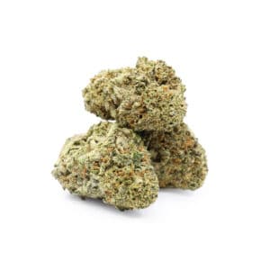Buy Shrooms In Steinbach, Buy Shrooms in Steinbach For Less | Manitoba Magic Mushroom Dispensary