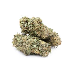Buy Shrooms In Steinbach, Buy Shrooms in Steinbach For Less | Manitoba Magic Mushroom Dispensary