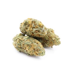 Buy Shrooms In Steinbach, Buy Shrooms in Steinbach For Less | Manitoba Magic Mushroom Dispensary