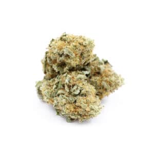 Buy Shrooms In Steinbach, Buy Shrooms in Steinbach For Less | Manitoba Magic Mushroom Dispensary