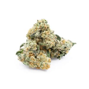 Buy Shrooms In Steinbach, Buy Shrooms in Steinbach For Less | Manitoba Magic Mushroom Dispensary