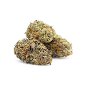 Buy Shrooms In Steinbach, Buy Shrooms in Steinbach For Less | Manitoba Magic Mushroom Dispensary
