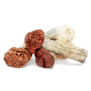 get magic mushrooms, Get Magic Mushrooms | Buy Shrooms Online In Canada