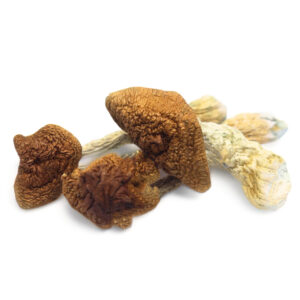 get magic mushrooms, Get Magic Mushrooms | Buy Shrooms Online In Canada