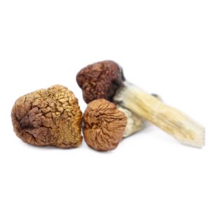 get magic mushrooms, Get Magic Mushrooms | Buy Shrooms Online In Canada