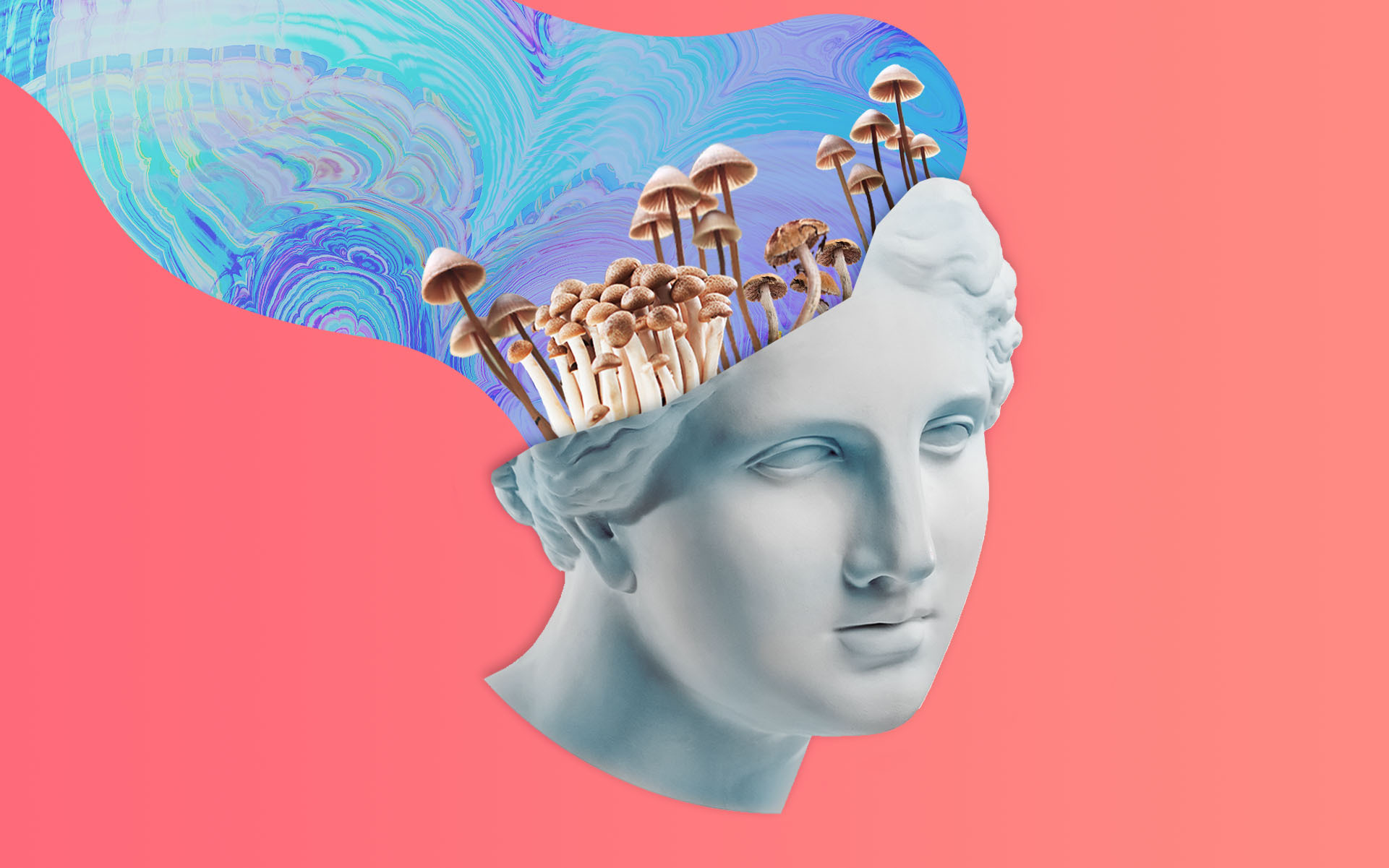 What is a trip, Magic Mushrooms 101: What Is a Trip? Everything You Need to Know