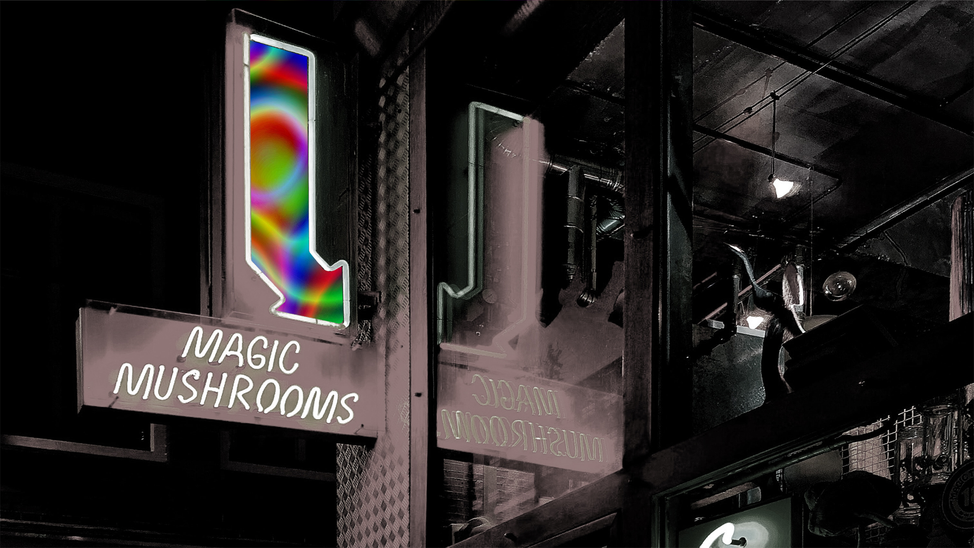 psilocybin mushrooms, Magic Mushrooms 101: Psilocybin Mushrooms Dispensary | Buy Shrooms Online