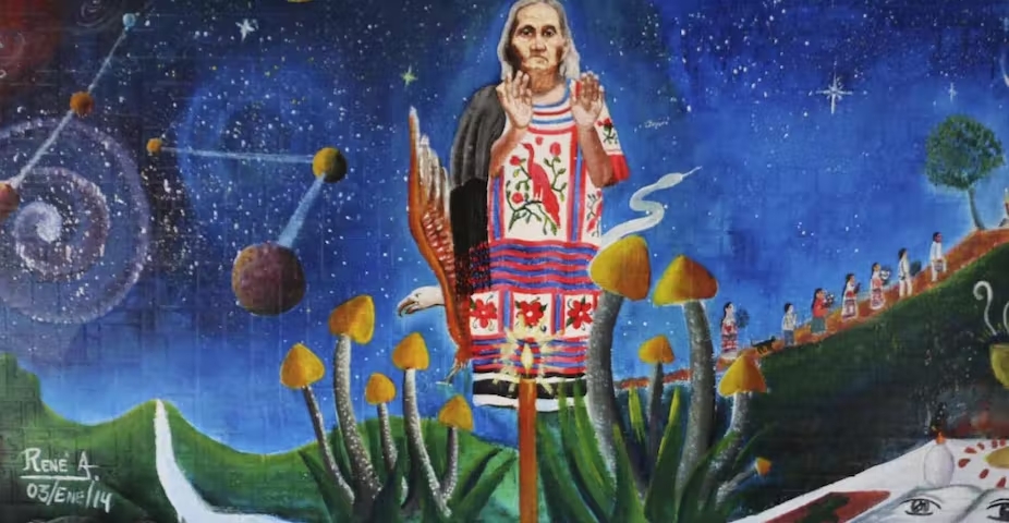 psychedelic ceremonies, Psychedelic Ceremonies: Shamanic Rituals &#038; Spiritual Practices