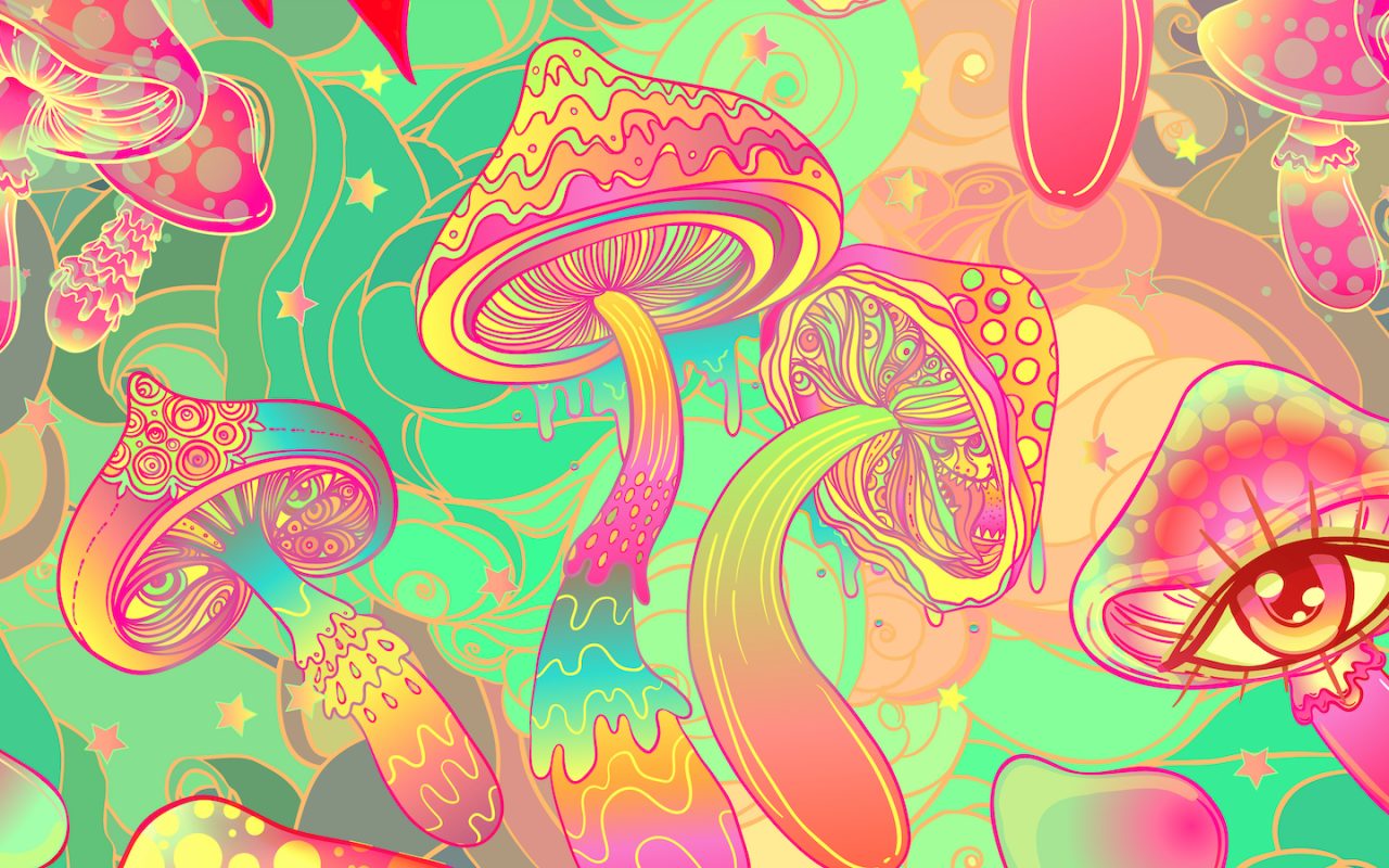 what are shrooms, Magic Mushrooms 101: What Are Shrooms?