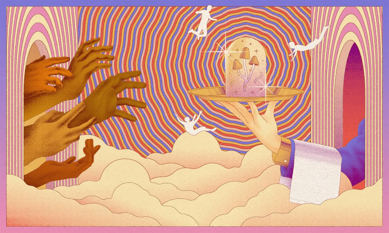 psilocybin laws in canada, Psilocybin Laws in Canada | Are Magic Mushrooms Legal?