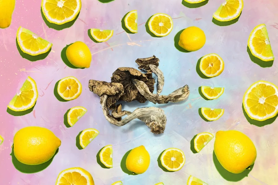 Lemon tek, Lemon Tek: A Beginner’s Guide