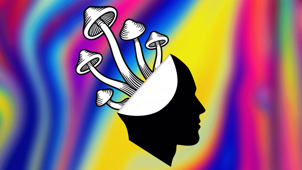 what is psilocybin, Magic Mushrooms 101: Understanding Psilocin, Psilocybe &#038; Psilocybin