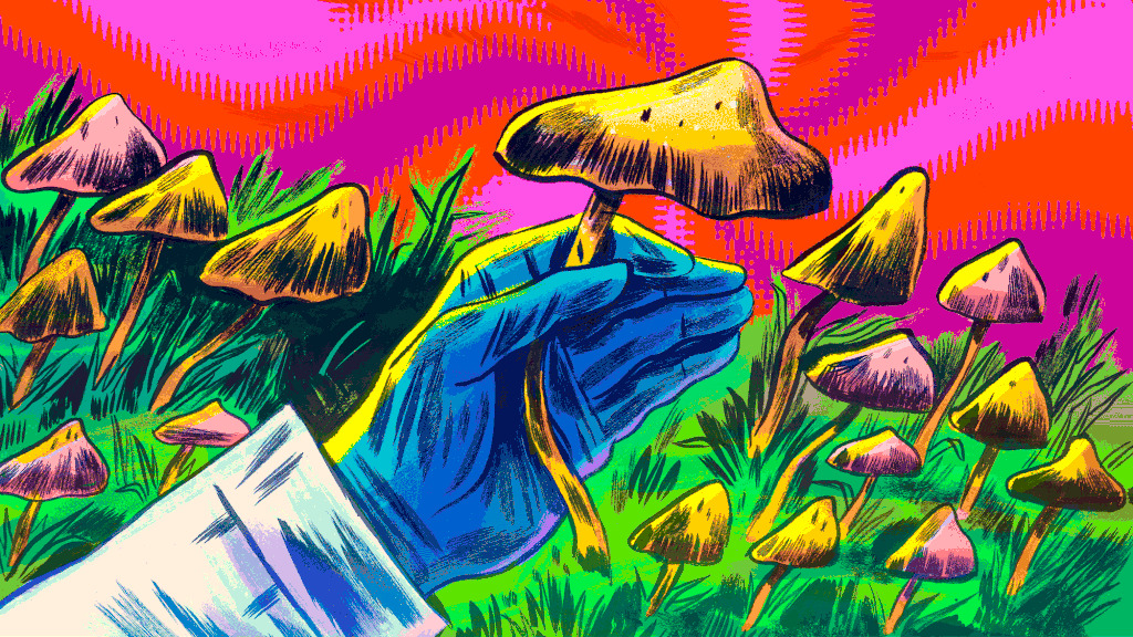 magic mushrooms in british columbia, History of Magic Mushrooms in British Columbia | Canada Dispensary