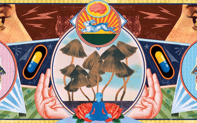 buy shrooms online in Canada, Buy Shrooms Online in Canada From the Leading Psilocybin Dispensary