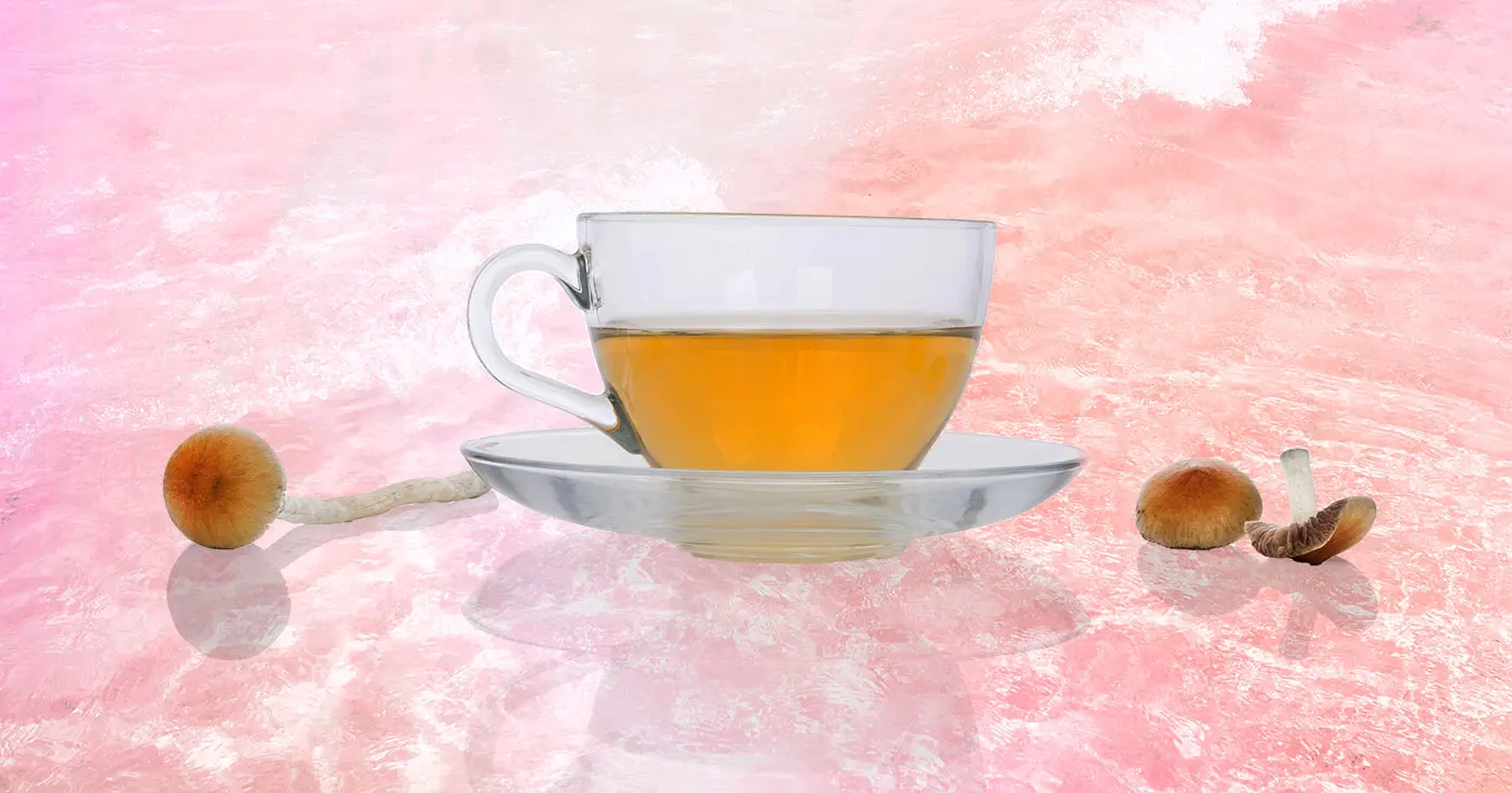 magic mushroom tea, Magic Mushroom Tea: A Step-By-Step Guide