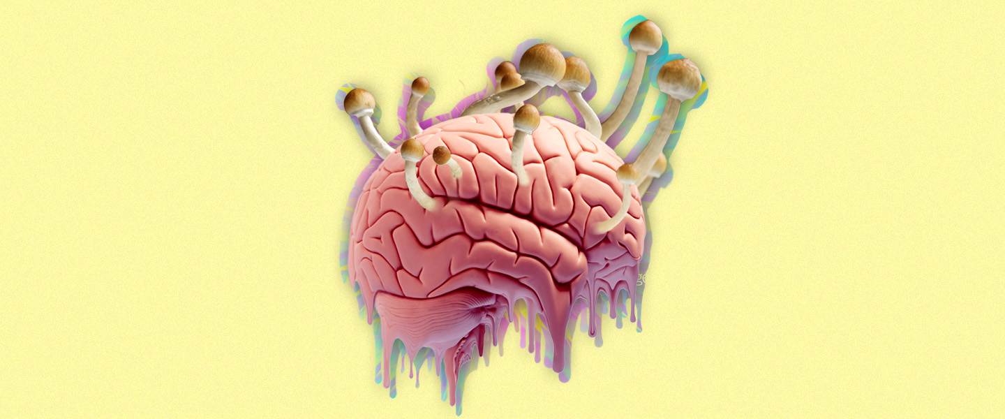 brain on shrooms, Your Brain on Shrooms | How a Psychedelic Trip Affects the Mind
