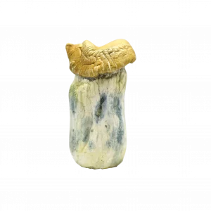 Buy Shrooms In Antigonish, Buy Shrooms in Antigonish For Less | Nova Scotia Magic Mushroom Dispensary