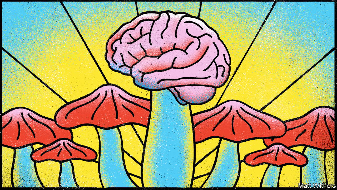 , Are Mushrooms Legal in Oregon – Portland Storefront Sells Psilocybin Mushrooms