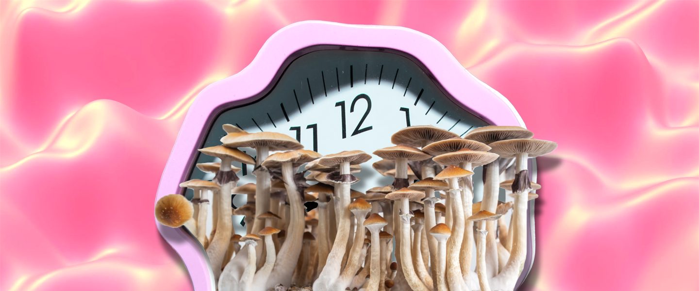 how long do shrooms last, How Long Do Shrooms Last and Stay in Your System?