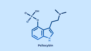 science behind magic mushrooms, Nerdy Tripping: Examining the Science Behind Magic Mushrooms