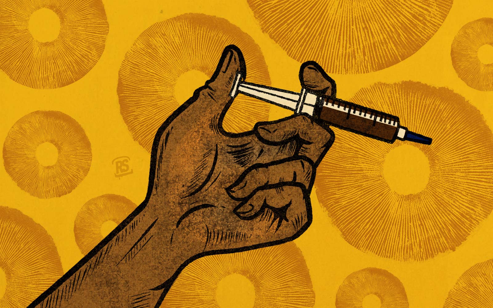 get magic mushrooms, Get Magic Mushrooms | Buy Shrooms Online In Canada