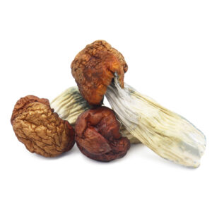 Buy Shrooms In Nipawin, Buy Shrooms in Nipawin For Less | Saskatchewan Magic Mushroom Dispensary
