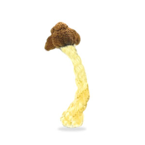 Buy Shrooms In St. Thomas, Buy Shrooms in St. Thomas For Less | Ontario Magic Mushroom Dispensary
