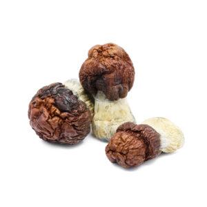 Buy Shrooms In Nipawin, Buy Shrooms in Nipawin For Less | Saskatchewan Magic Mushroom Dispensary