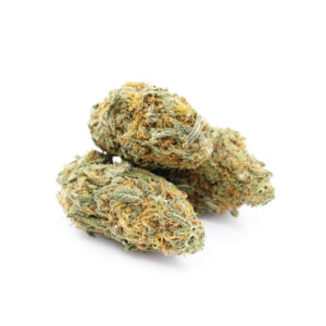 get magic mushrooms, Get Magic Mushrooms | Buy Shrooms Online In Canada
